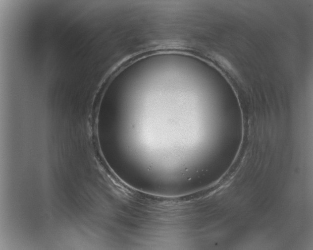 X0000070211212200605261243