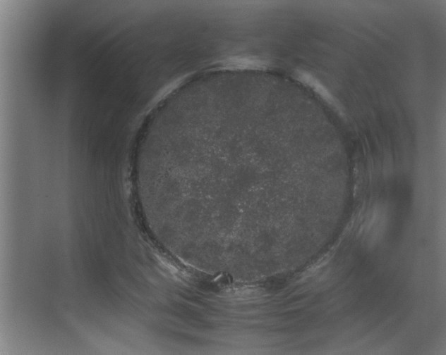 X0000070211213200605261243