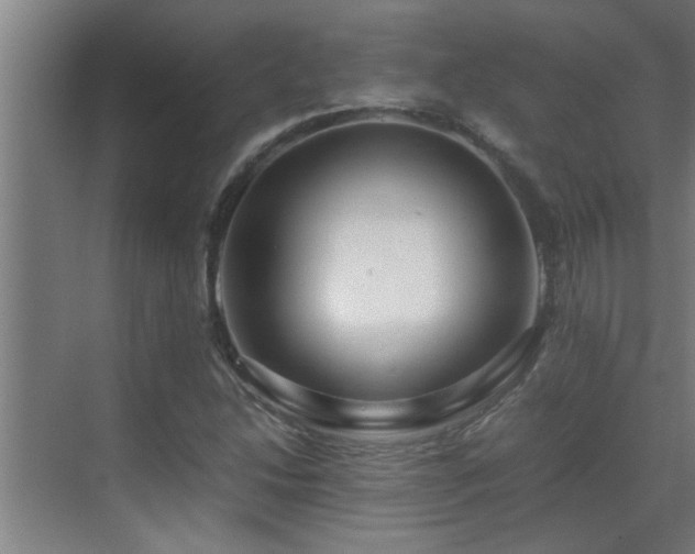 X0000070211214200605261243