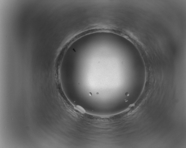 X0000070211215200605261243