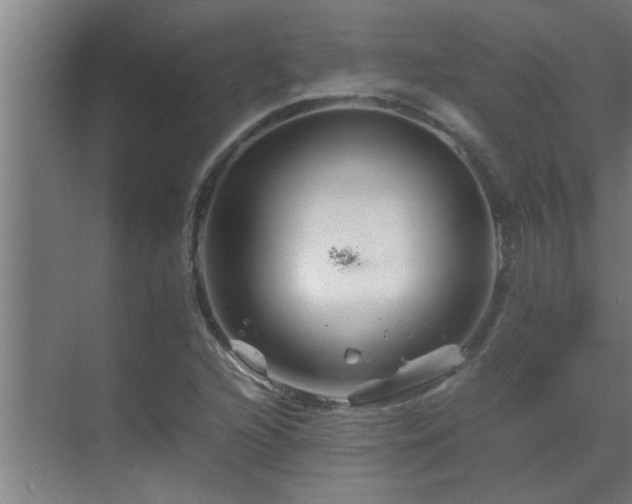 X0000070211216200605261243