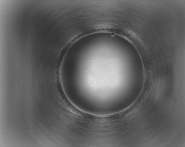 X0000070211217200605261243