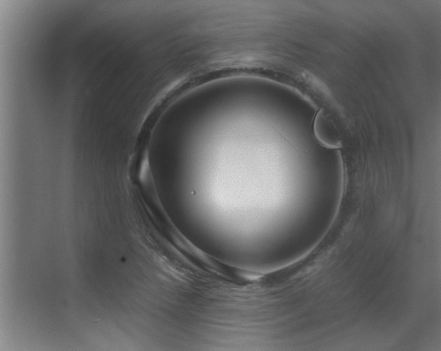 X0000070211218200605261243