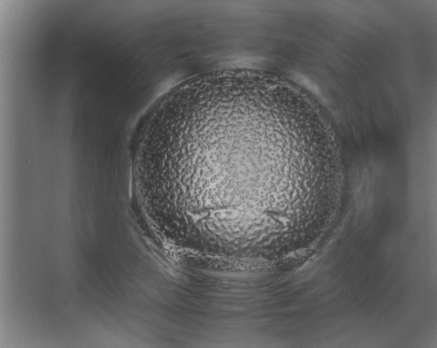 X0000070211219200605261243