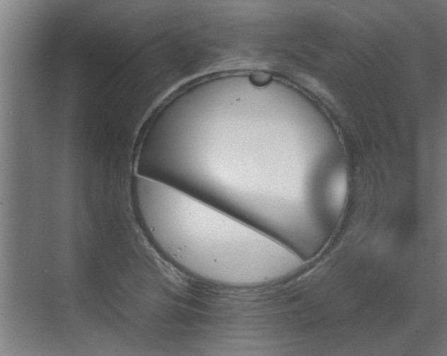 X0000070211220200605261243