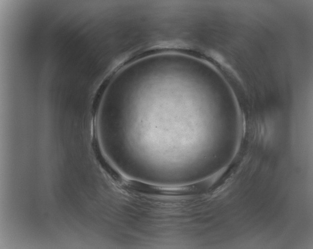 X0000070211221200605261243