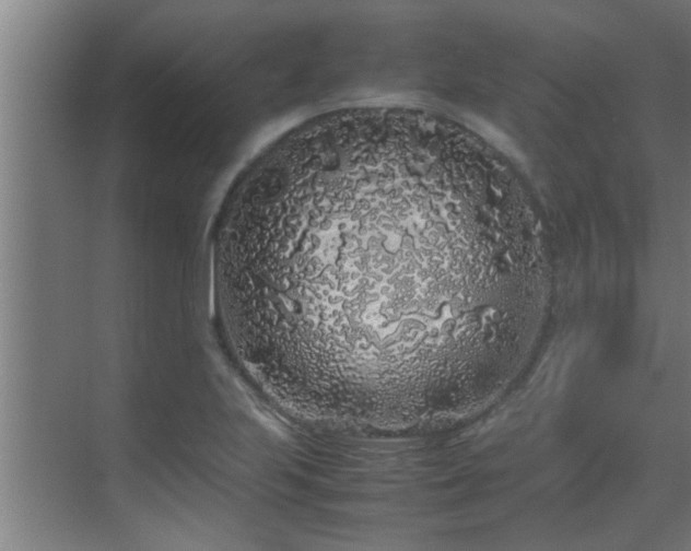 X0000070211223200605261243