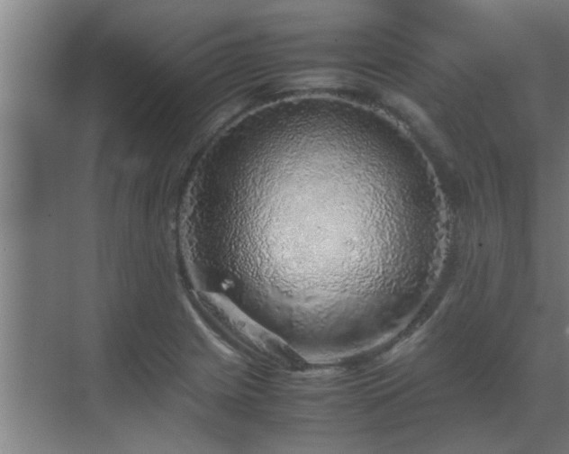 X0000070211225200605261243