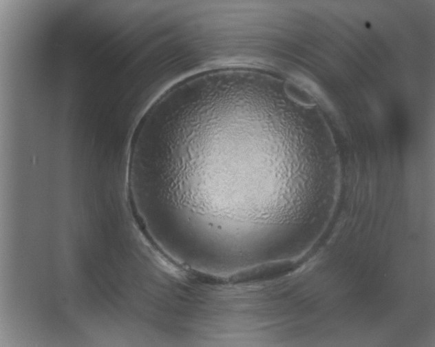 X0000070211228200605261243