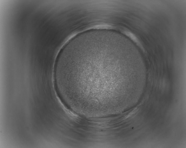 X0000070211229200605261243