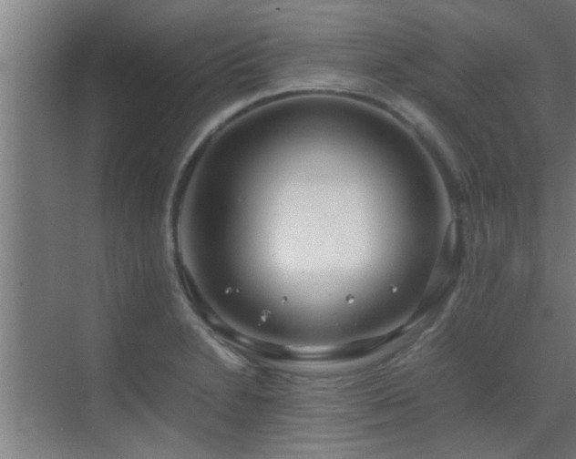 X0000070211230200605261243