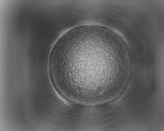 X0000070211231200605261243