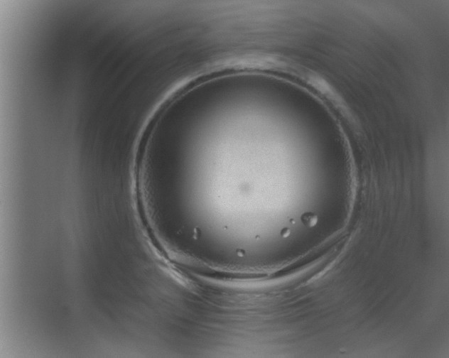 X0000070211232200605261243