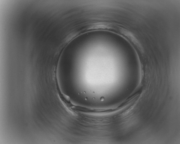 X0000070211233200605261243