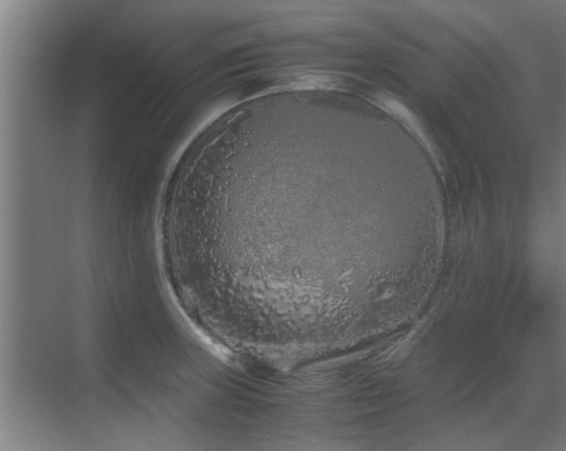 X0000070211235200605261244