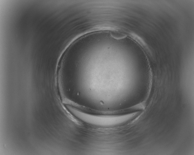 X0000070211236200605261244