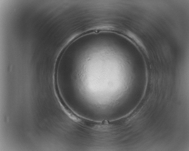 X0000070211237200605261244