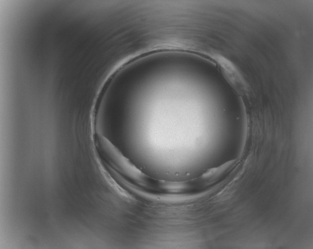 X0000070211238200605261244