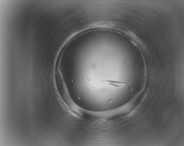 X0000070211240200605261244