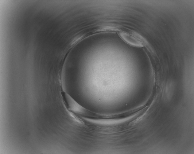 X0000070211241200605261244