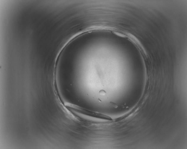 X0000070211244200605261244