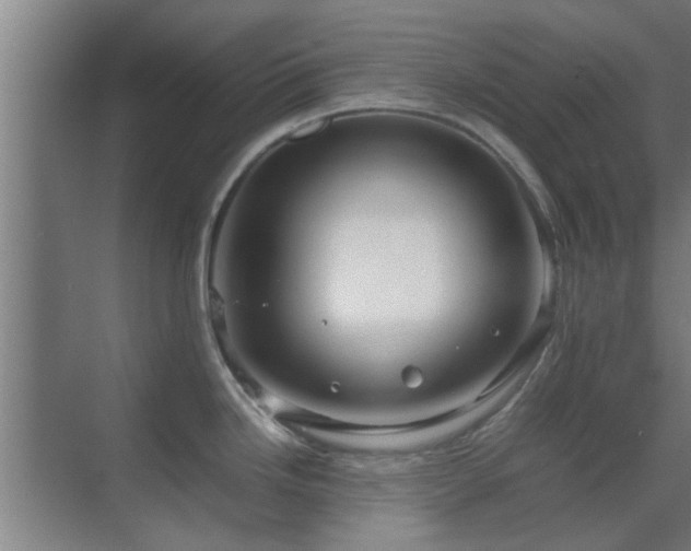 X0000070211246200605261244