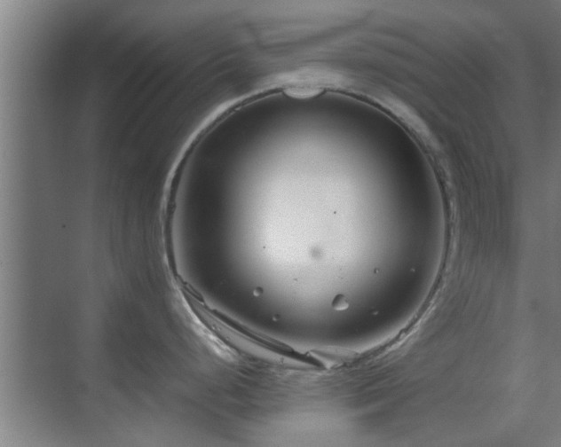 X0000070211248200605261244