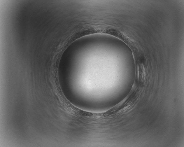 X0000070211249200605261243