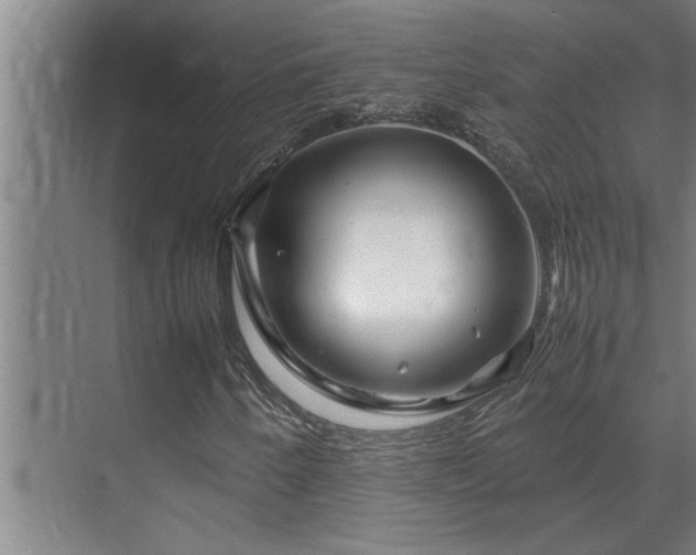 X0000070211250200605261243