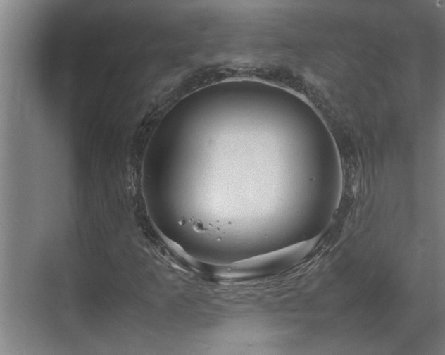 X0000070211253200605261243