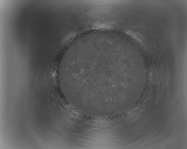 X0000070211254200605261243