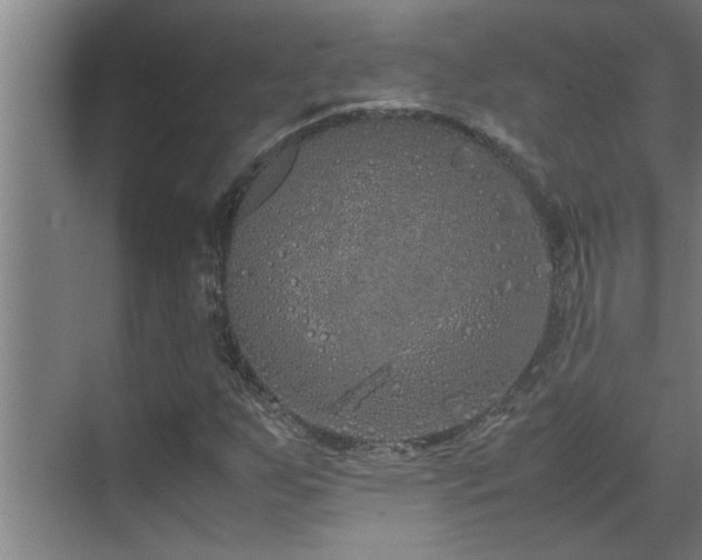 X0000070211255200605261243