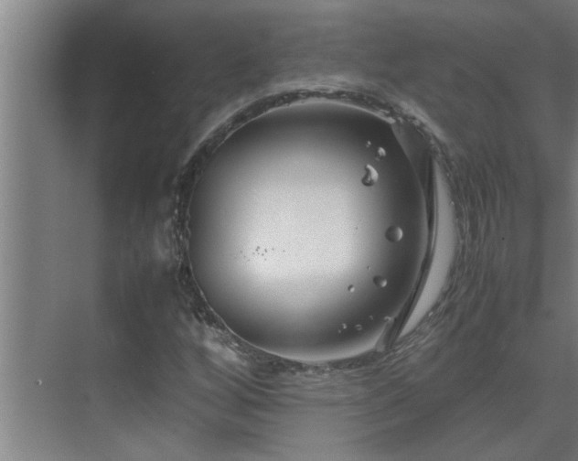 X0000070211256200605261243