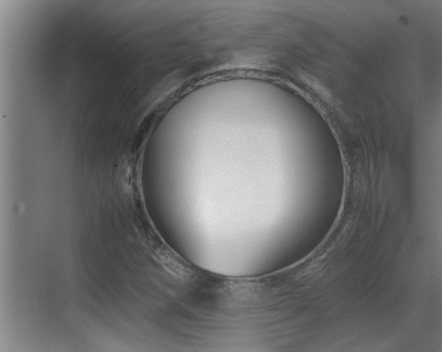 X0000070211258200605261243