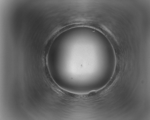 X0000070211259200605261243