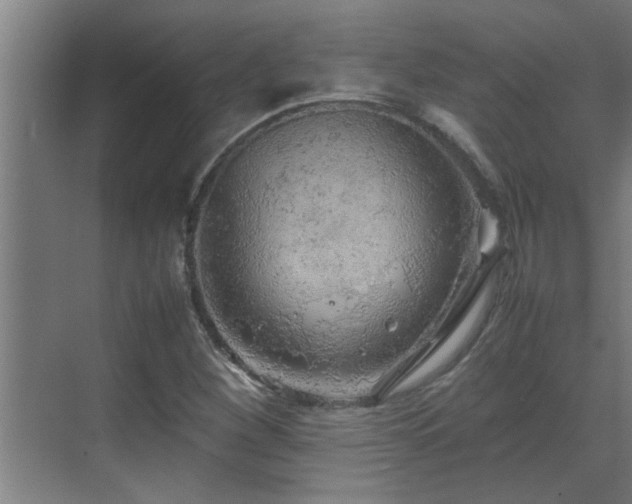 X0000070211260200605261243