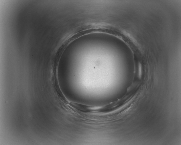 X0000070211261200605261243