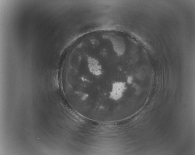 X0000070211262200605261243