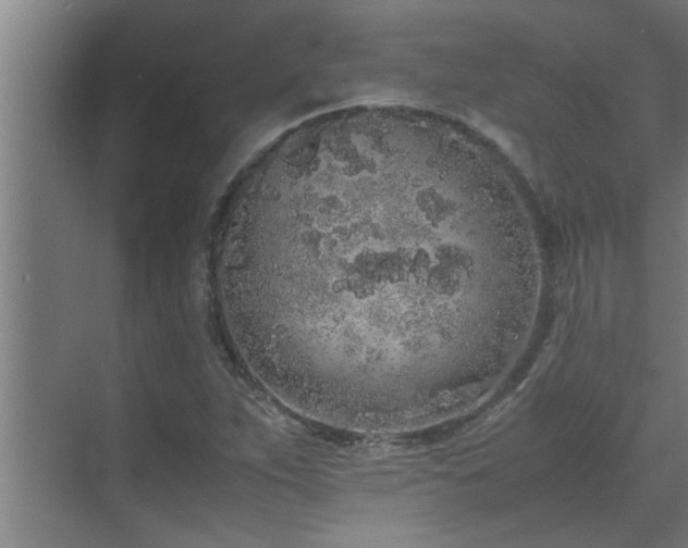 X0000070211263200605261243