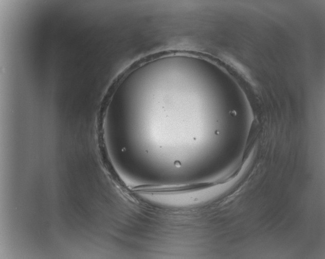 X0000070211264200605261243