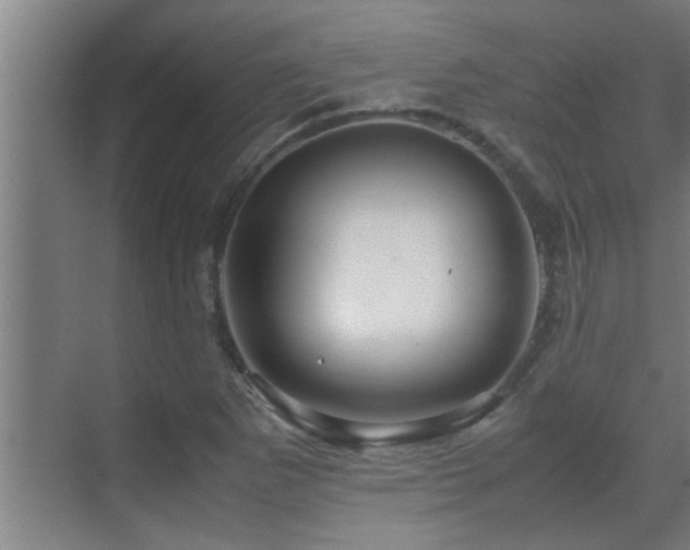 X0000070211265200605261243