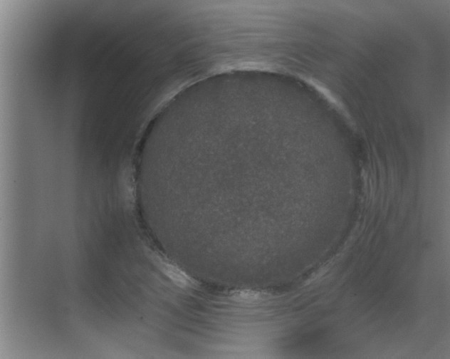 X0000070211266200605261243