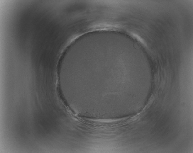 X0000070211267200605261243