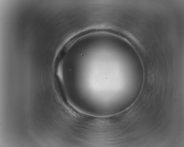 X0000070211270200605261243