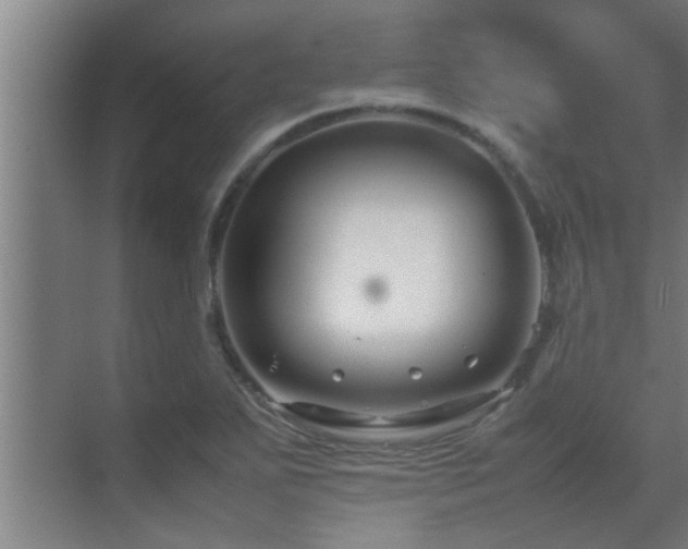 X0000070211271200605261243