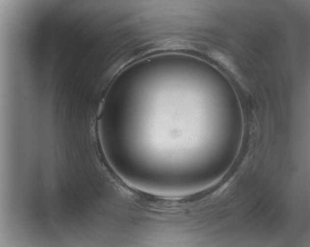 X0000070211273200605261243