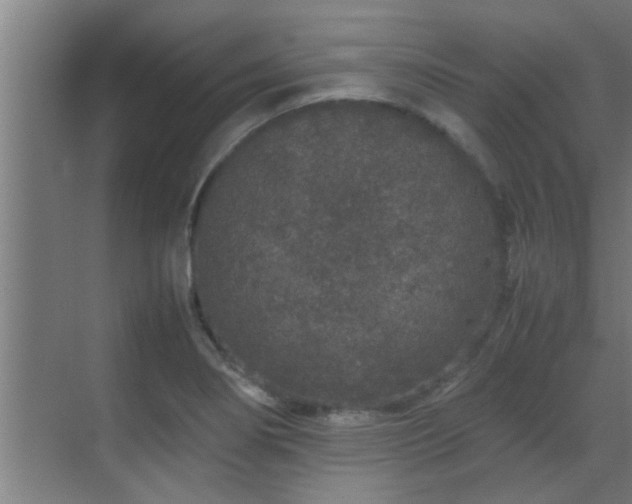 X0000070211274200605261242