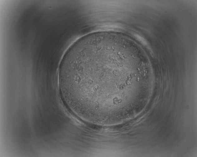 X0000070211275200605261242