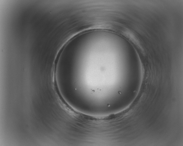 X0000070211276200605261242