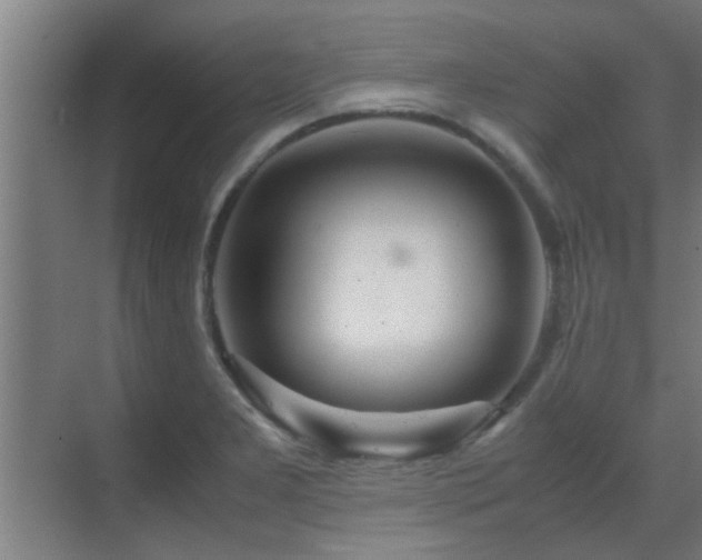 X0000070211277200605261242